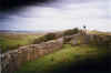 An exposed section of the Wall